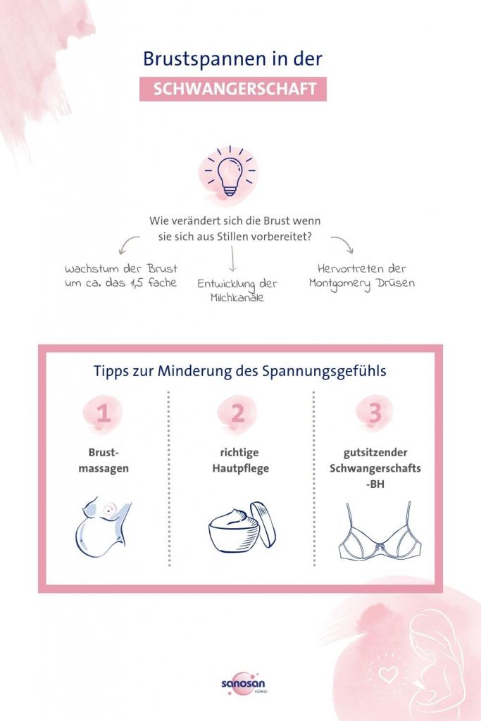 infografik brustspannen in der schwangerschaft