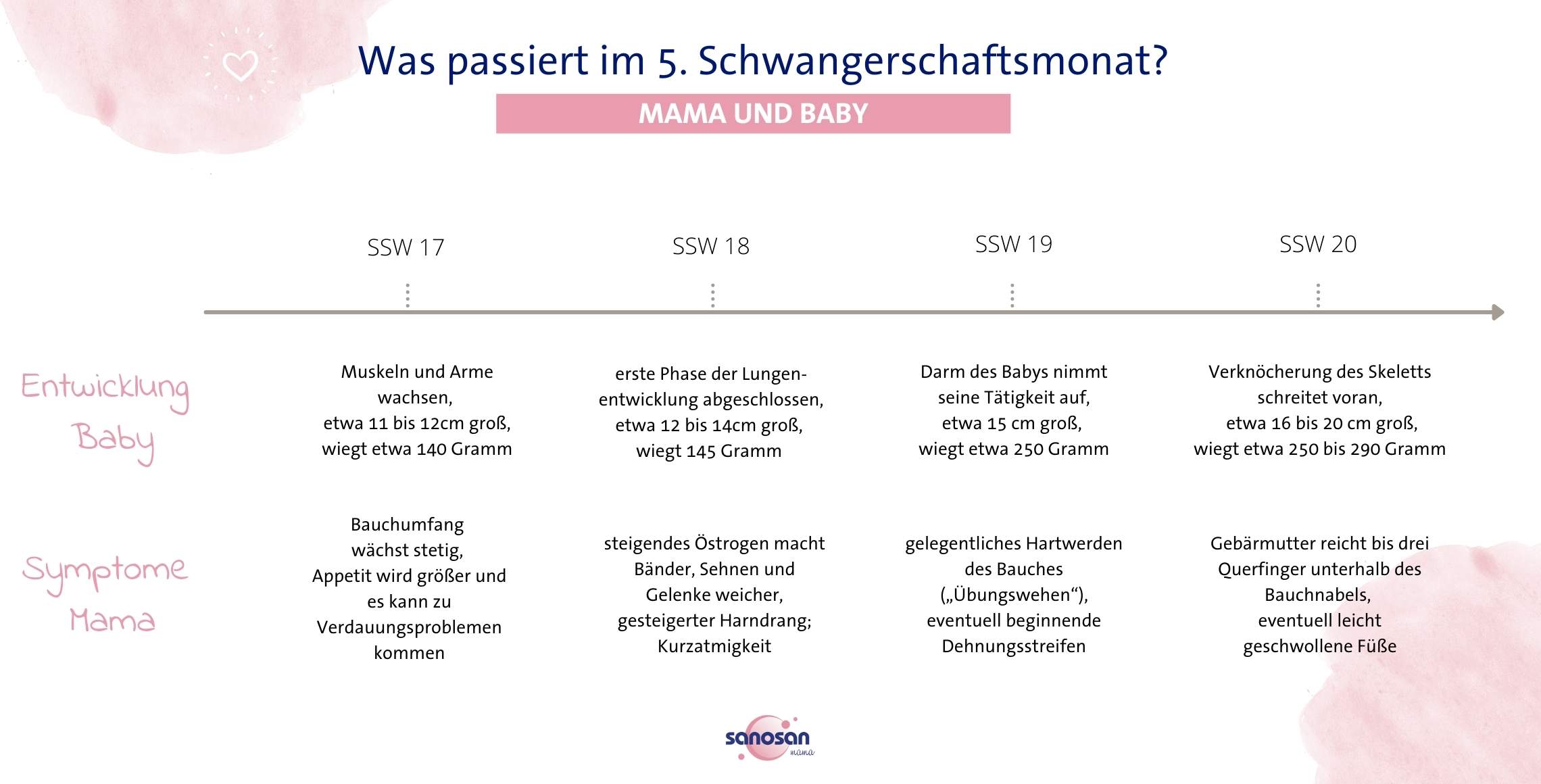 so entwickelt sich dein baby und dein körper im fünften schwangerschaftsmonat
