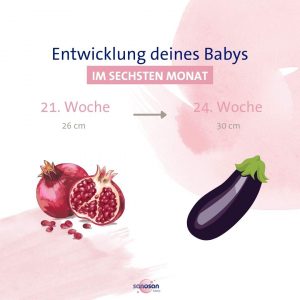 Infografik zum Babaywachstum im sechsten Schwangerschaftsmonat