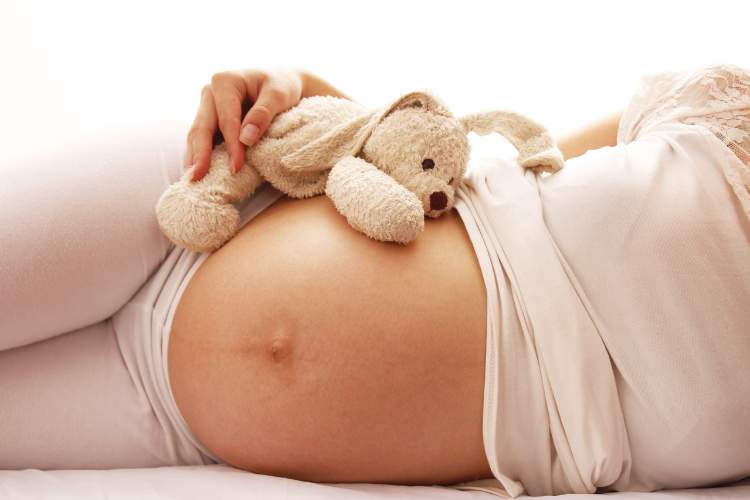 Schwangere Frau hält sich Kuscheltier an ihren Babybauch